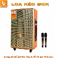 Loa Kéo Di Động BOK HA15-29 (Bass 40cm, 2 Micro, 300W)
