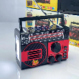 Loa Bluetooth FM/SD/USB EPE FP-259BT-S (Pin Năng Lượng Mặt Trời)