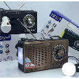 Loa Bluetooth FM/SD/USB NNS NS-S225SL (Đèn LED, Pin Năng Lượng Mặt Trời)