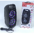 LOA BLUETOOTH KARAOKE LZ-4206 (KÈM 1 MICRO CÓ DÂY)