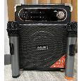 Loa Bluetooth Karaoke DAILE S55 (Kèm 2 micro không dây)