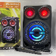 Loa Kéo Di Động Karaoke MN-801 (Bass 8, 1 Micro có dây)