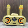 Loa Bluetooth Karaoke SDRD SD-303 (kèm 02 micro không dây)