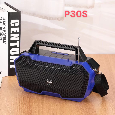 Loa Bluetooth FM/USB/TF P30S (Pin năng lượng mặt trời)