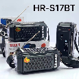 Loa Bluetooth FM/USB/TF HAIRUN HR-S17BT (Pin năng lượng mặt trời)