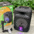 Loa Di Động Karaoke NDR-P28 (Bass 8, Kèm 1 micro có dây)