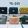LOA BLUETOOTH T&G TG-313