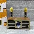 Loa Bluetooth Karaoke KEI (Kèm 2 Micro không dây)