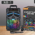Loa Di Động Karaoke NB-1 (Bass 8, 1 Micro có dây)