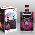 LOA BLUETOOTH KARAOKE TTD-5813 BASS 8