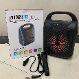 LOA BLUETOOTH ABS-6101 (Kèm 1 Micro có dây)