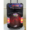 LOA KÉO DI ĐỘNG MEIRENDE MR-107 (Bass 12, 2 Micro không dây)