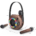 LOA BLUETOOTH KARAOKE LY-300 (Kèm 2 Micro không dây)