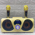 Loa Bluetooth Karaoke SDRD SD-312 (Kèm 2 Micro không dây)