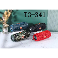 LOA BLUETOOTH T&G TG-341
