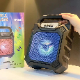 LOA BLUETOOTH HF-S688