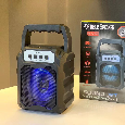 LOA BLUETOOTH HF-S368