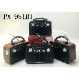LOA BLUETOOTH FM PUXING PX-951BT