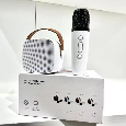 LOA BLUETOOTH A20 (KÈM MICRO KHÔNG DÂY)
