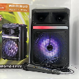 Loa Bluetooth Karaoke MEIQINUO MN-802 (Bass 8, 1 Micro có dây)
