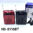 Loa Trợ Giảng NNS NS-8116BT