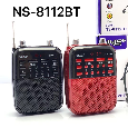 Loa Trợ Giảng Bluetooth NNS NS-8112BT