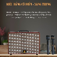 Loa Bluetooth Karaoke BESTSOUND M10 (Kèm 2 Micro Không Dây)