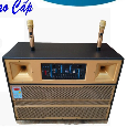 Loa Kéo Di Động SOUNDBOX SB-212P (Bass Đôi 30cmx2, 2 Micro)