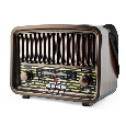 Đài FM Radio Bluetooth RX-BT929SQ