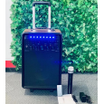 Loa Kéo Di Động Karaoke D11-C (Bass 8, 1 Micro)