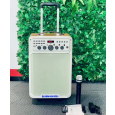Loa Kéo Di Động Karaoke D19 (Bass 10, 1 Micro)