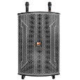 Loa Kéo Di Động Karaoke ProSing W15 VN (Bass 4 tấc, 2 Micro)