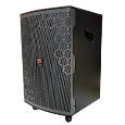 Loa Kéo Di Động Karaoke ProSing W12 BEE (Bass 3 tấc, 2 Micro)