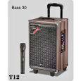 Loa Kéo Di Động Karaoke T12 (Bass 30cm, 1 Micro)