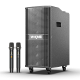 Loa Karaoke W-King K20 (Bass đôi 8x2, 2 Micro, 260W, Pin 9000mAh)