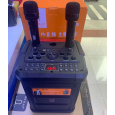 Loa Kéo Karaoke JYX N122 (Kèm 2 Micro Không Dây)