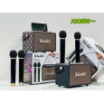 Loa Bluetooth Peterhot A108W (2 míc ko dây )