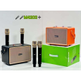 LOA BLUETOOTH BOOMS BASS M4202+ (KÈM 2 MICRO KHÔNG DÂY)