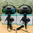 Loa Bluetooth Karaoke SKD-107 (Kèm 1 Micro có dây)