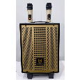 Loa Kéo Di Động Karaoke BD-0871 (Bass 20cm, 2 Micro)