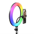 ĐÈN LIVE 30CM RGB NHIỀU MÀU