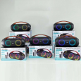 Loa Bluetooth KIMISO K301 PRO (Kèm 1 Micro Không Dây)