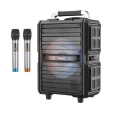 Loa Kéo Di Động Karaoke HOCO DS-24 (Kèm 2 Micro)