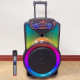 Loa Kéo Di Động Karaoke NDR-Y12 (Bass 12, 1 Micro)