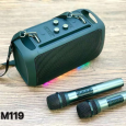 LOA BLUETOOTH KÈM 2 MICRO M119