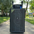 Loa kéo hình Rồng Nanomax GT-2024 (Bass 50cm, 2 Micro)