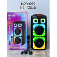 Loa Bluetooth Karaoke NDR-066 (Bass đôi 6.5x2, 2 Micro)