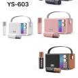 Loa Bluetooth Kèm 2 Micro SU-YOSD YS-603