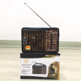 ĐÀI FM RADIO DC-608ACW
