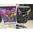 LOA BLUETOOTH KARAOKE GY-802 (KÈM 1 MICRO CÓ DÂY)